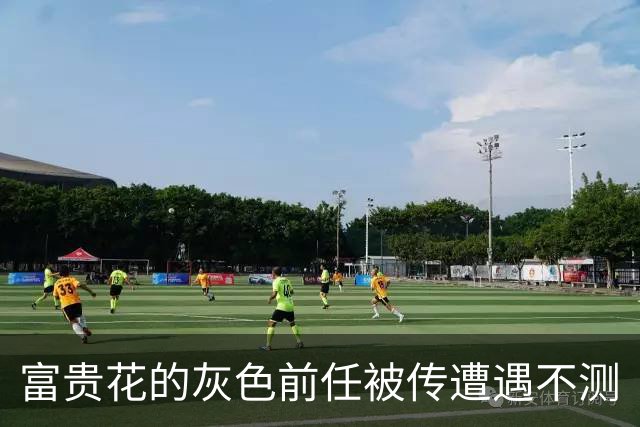 富贵花的灰色前任被传遭遇不测