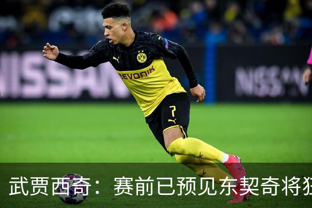 武贾西奇：赛前已预见东契奇将狂砍50分 瞧他赛后状态就明白